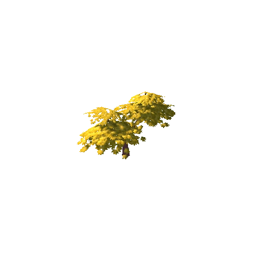 Small Tree Yellow Default 01